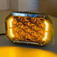 DG-23 SPOT/FLOOD LIGHT
